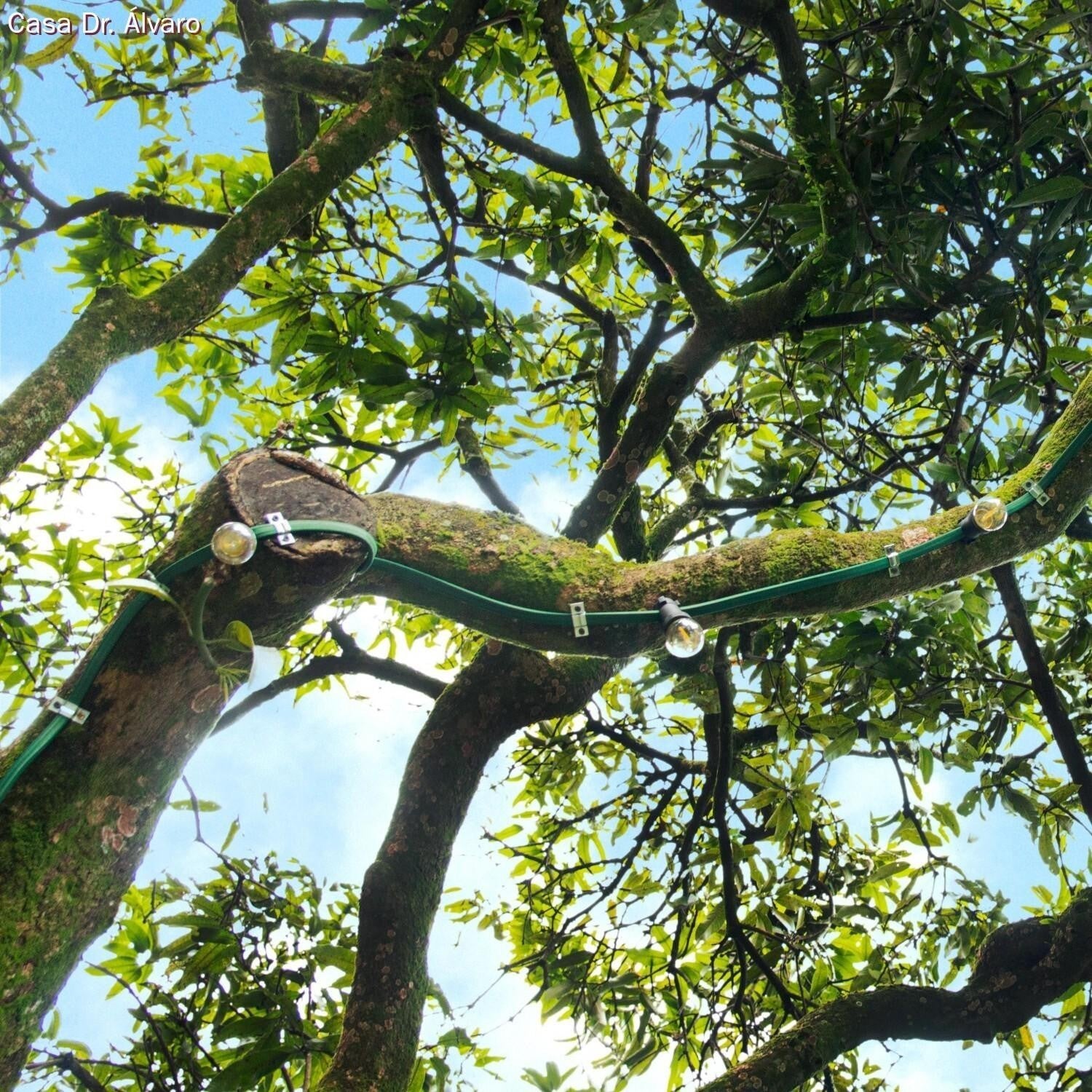 Cabo Elétrico para Cordão de luzes, coberto por tecido Seda Verde Escuro CM21