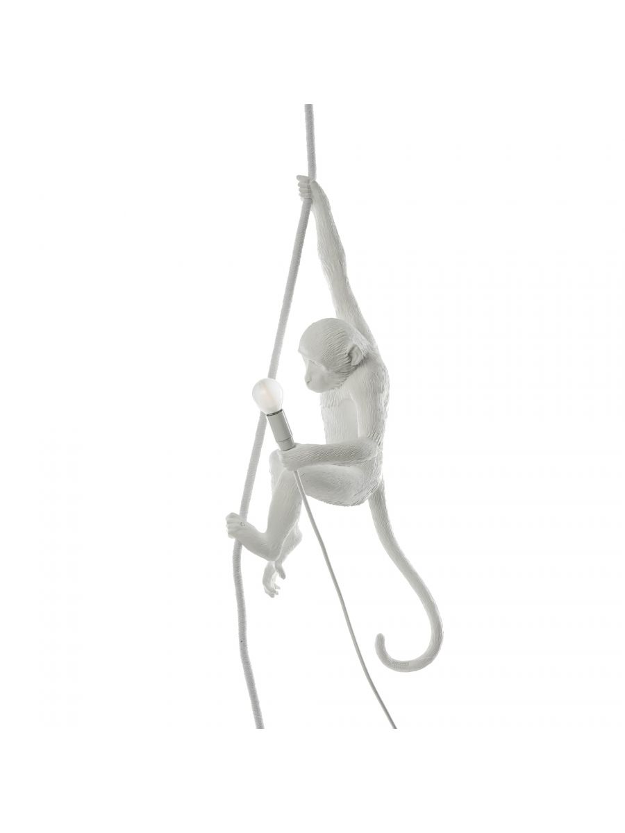 The Monkey Lamp - Suspenso