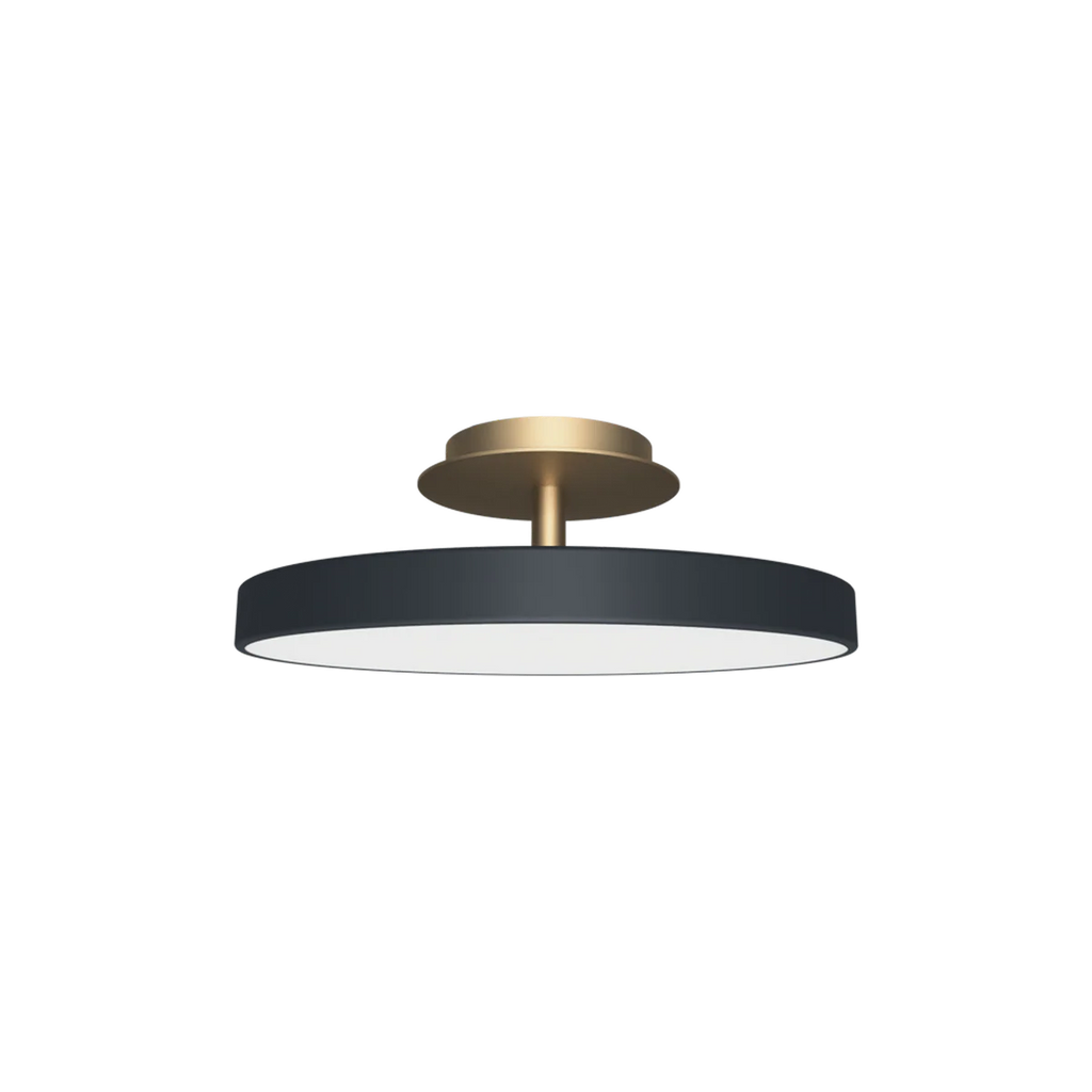 Asteria UP Plus
