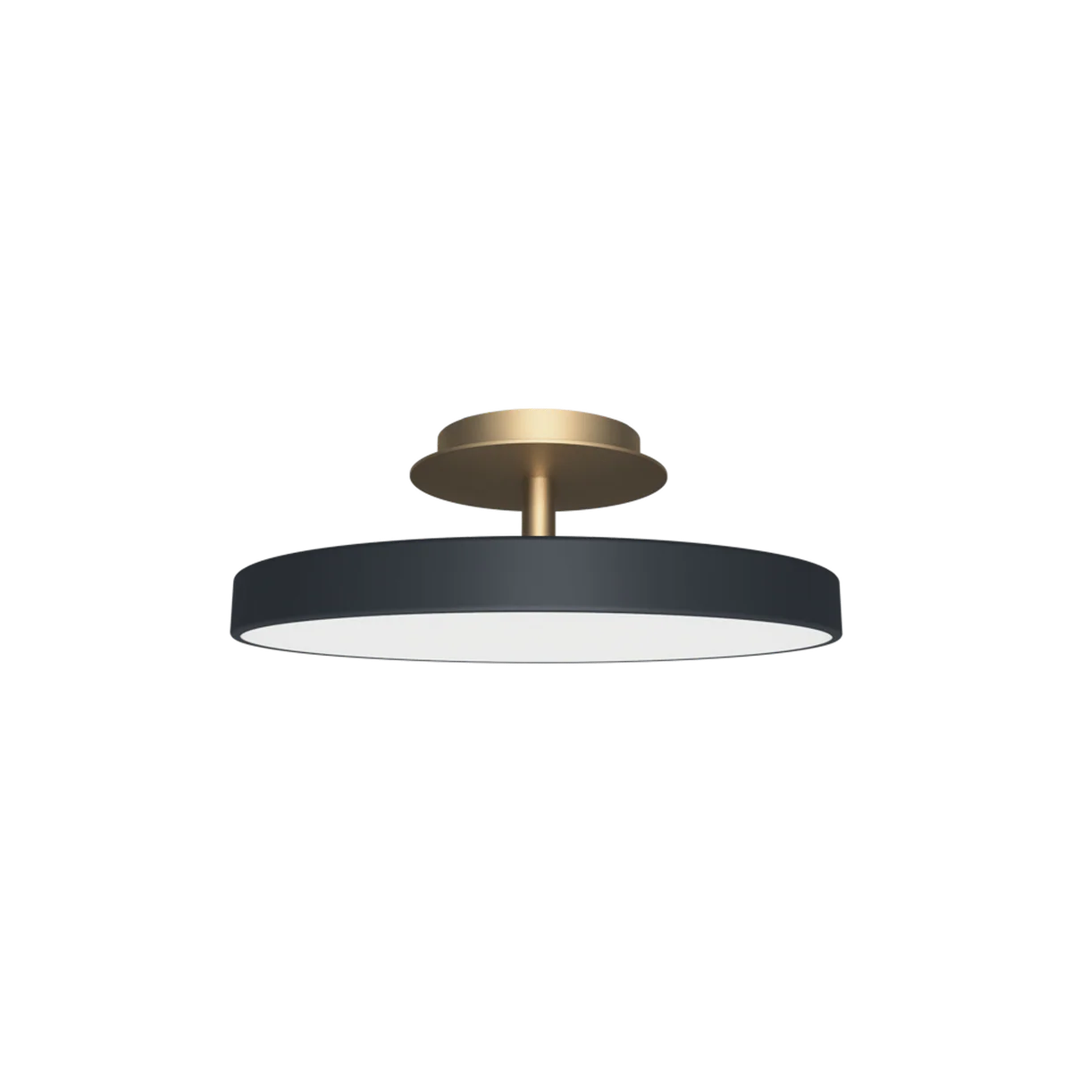 Asteria UP Plus