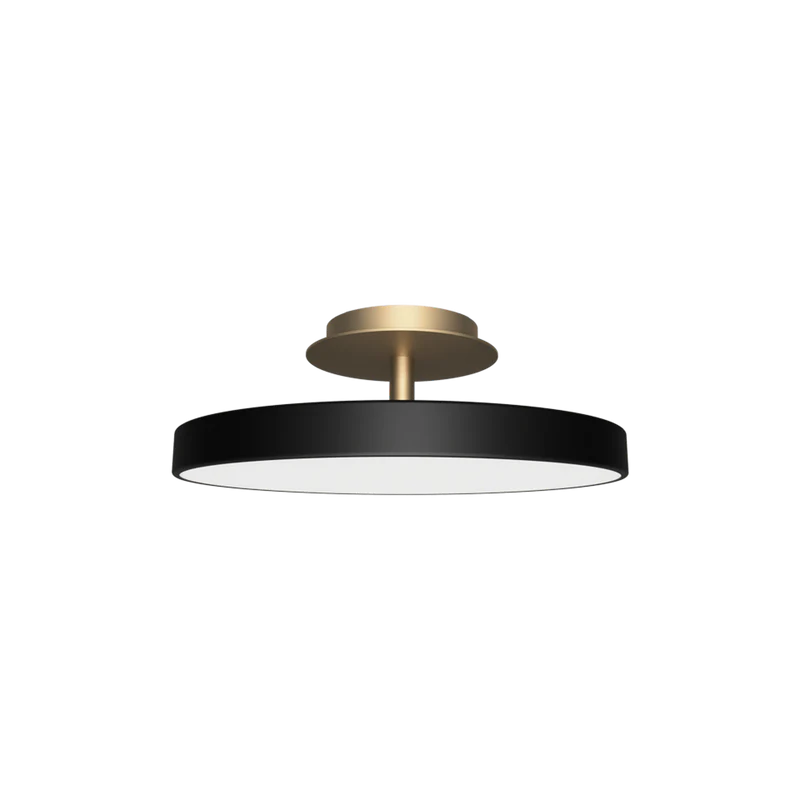 Asteria UP Plus