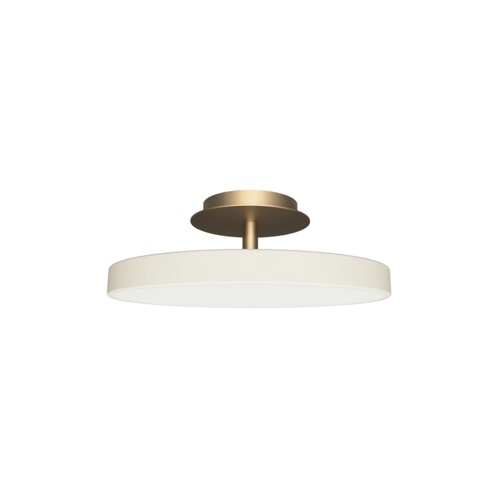 Asteria UP Plus