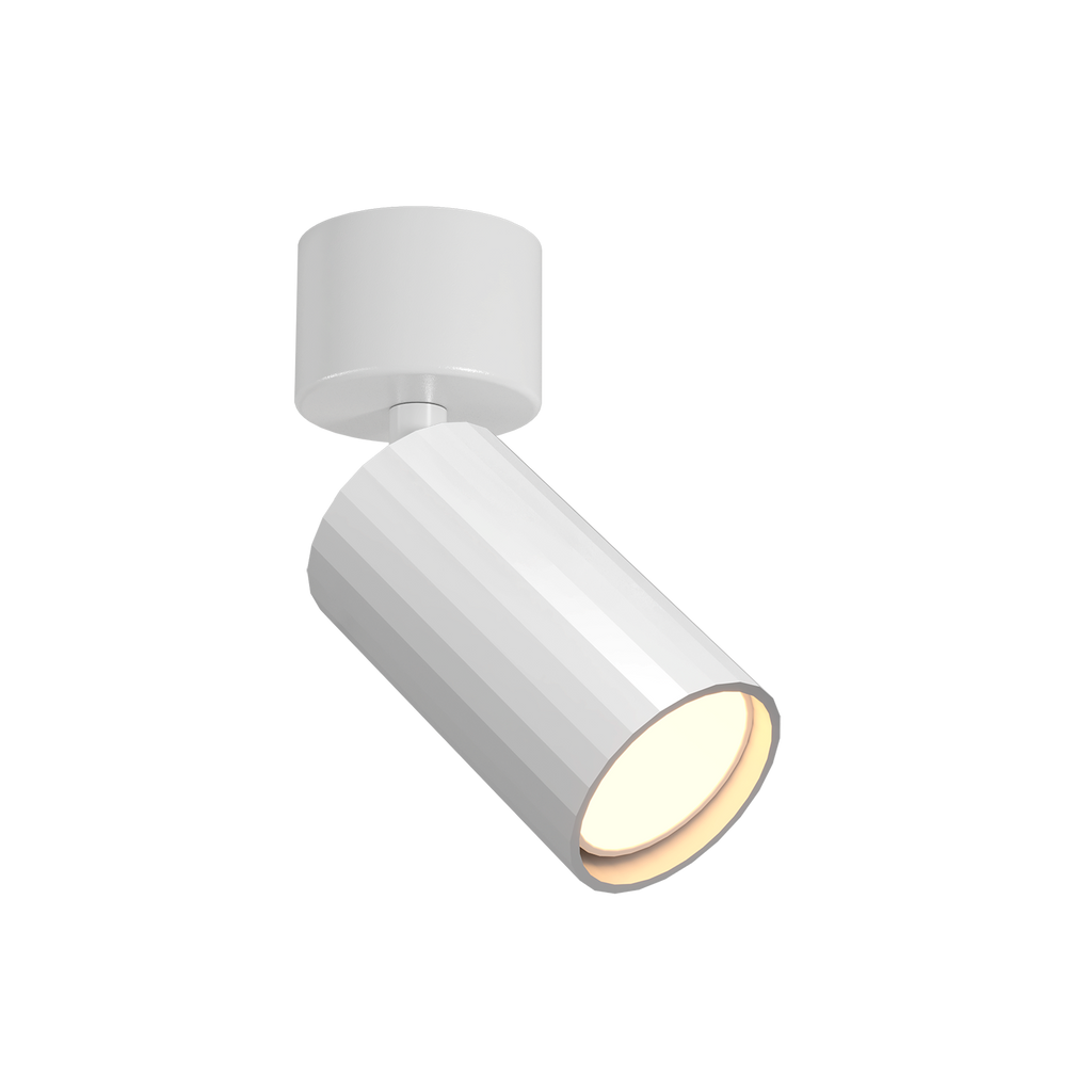 Modrian Spot 1L