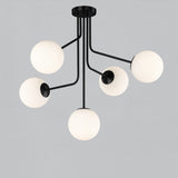 Parma Chandelier 5L