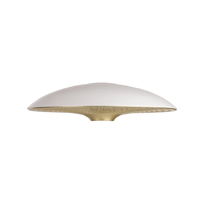 Manta Ray