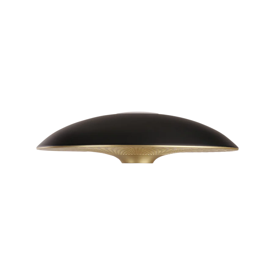Manta Ray