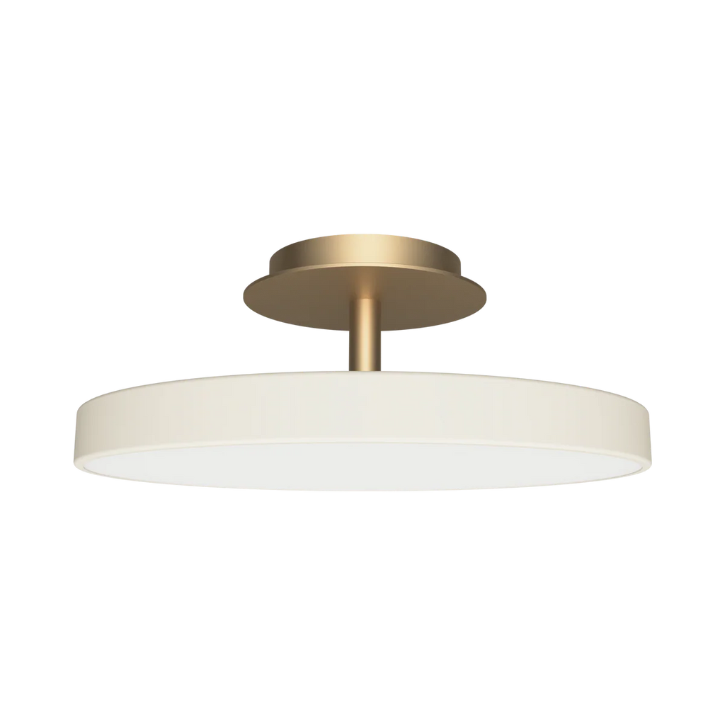 Asteria UP Plus