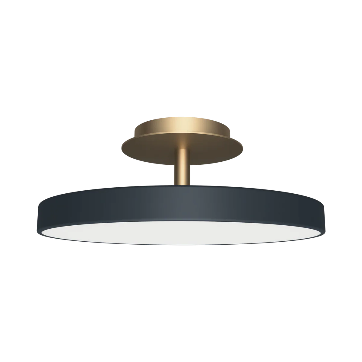 Asteria UP Plus