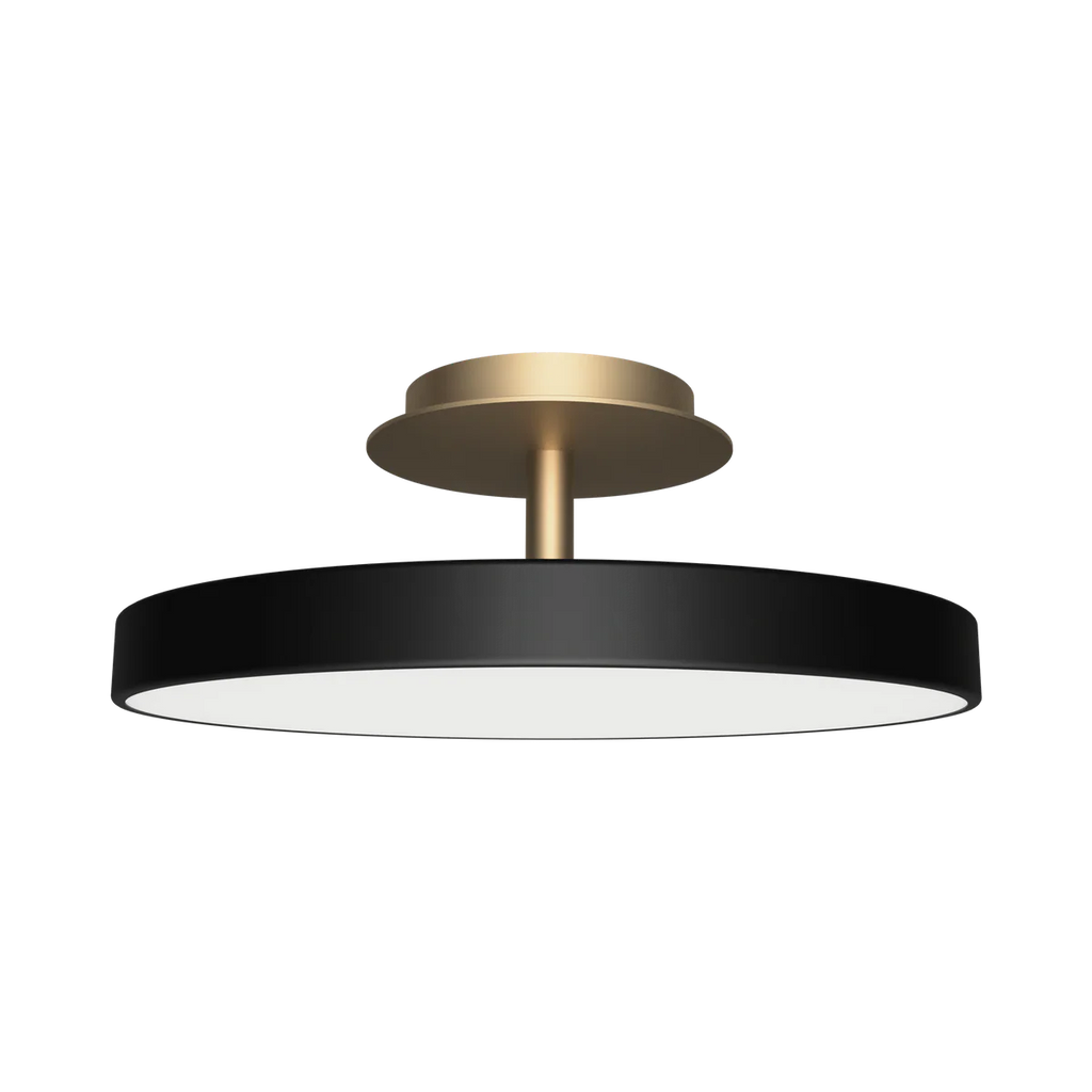 Asteria UP Plus