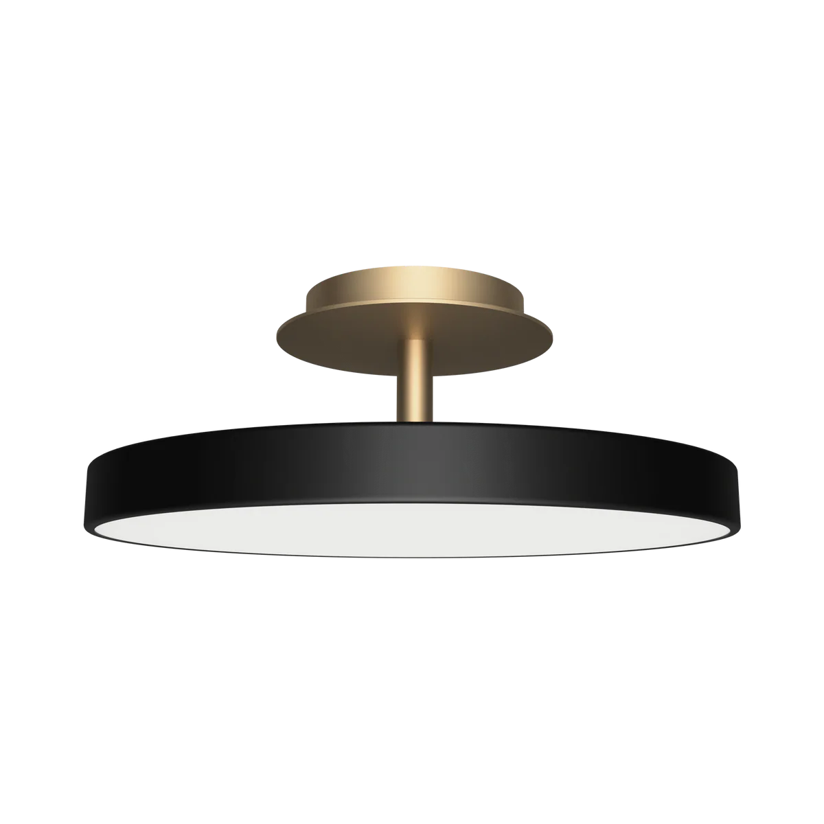 Asteria UP Plus