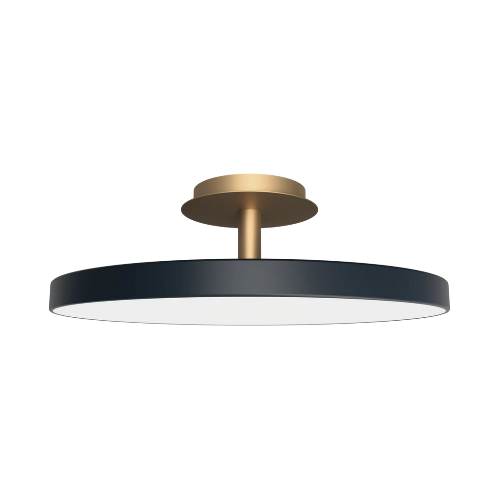 Asteria UP Plus