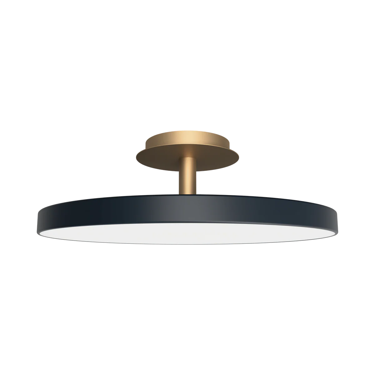 Asteria UP Plus