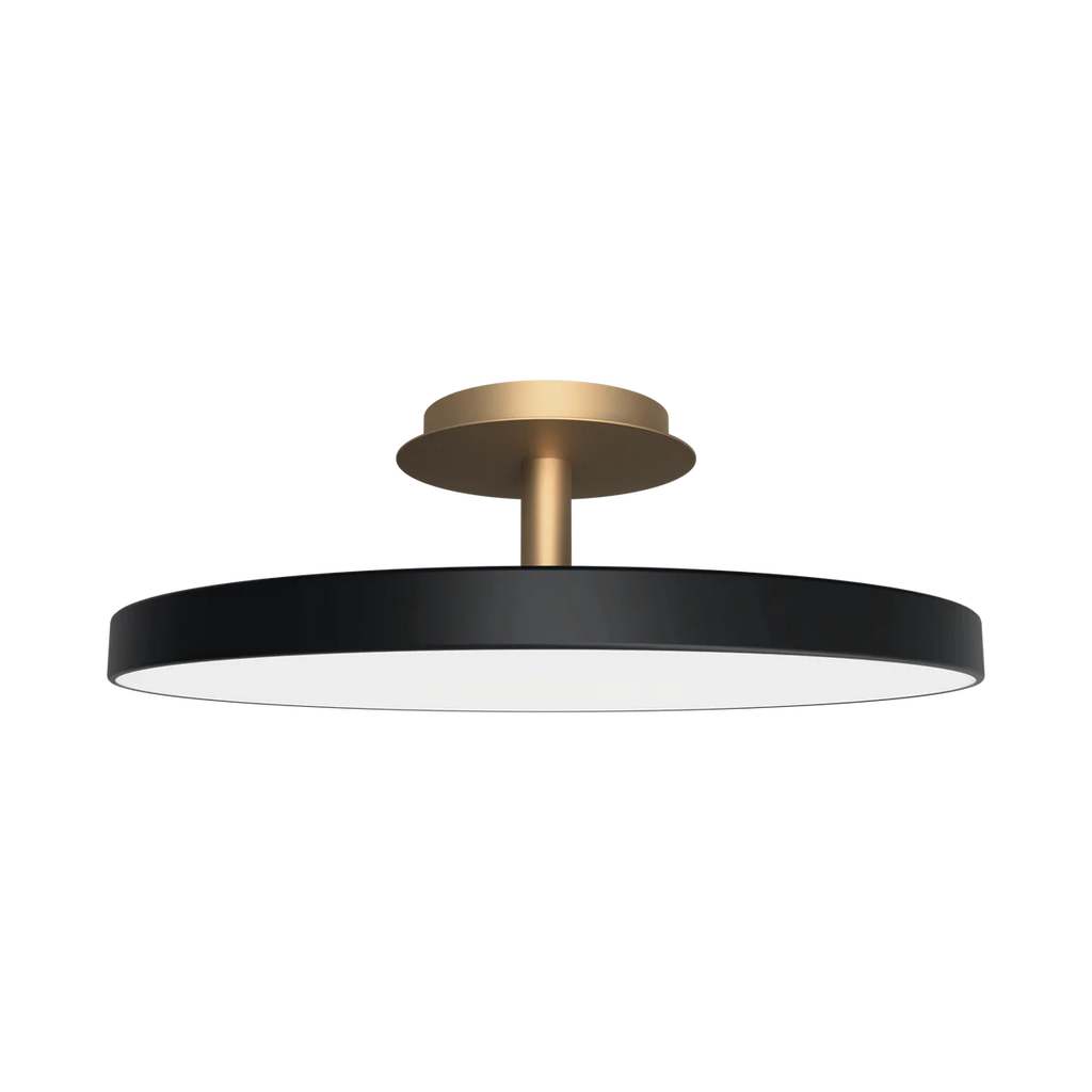 Asteria UP Plus