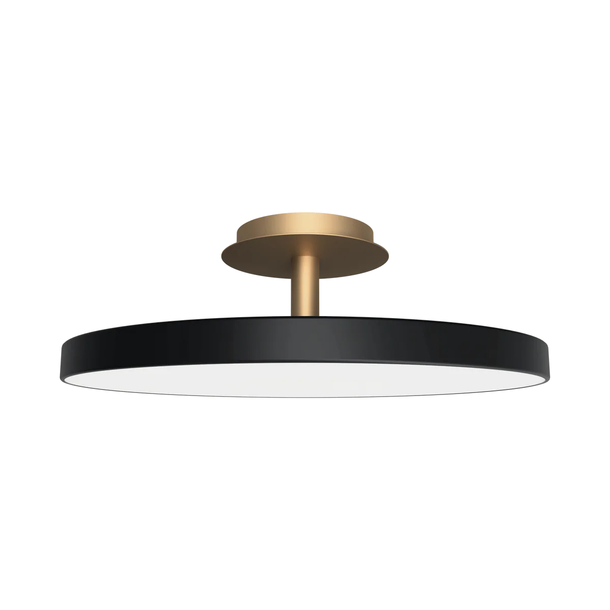 Asteria UP Plus