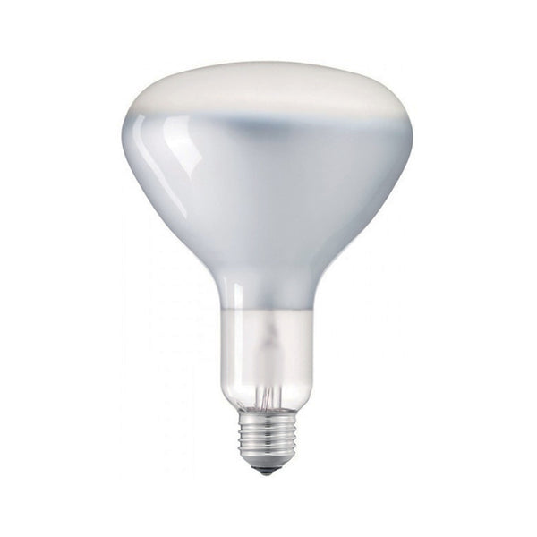 Light bulb filament Led R125 11W E27 Shiny Dimmable