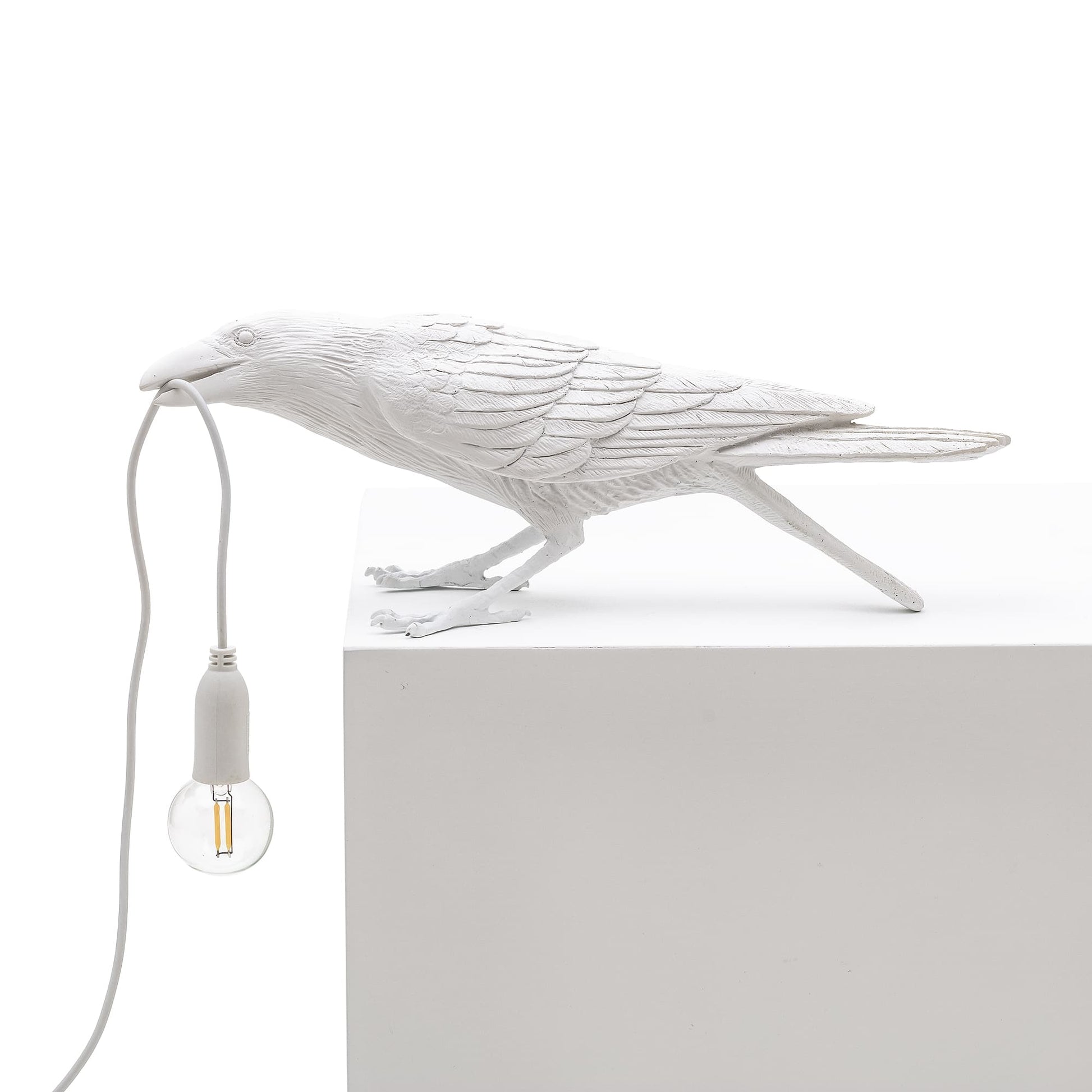 Bird Lamp Playing