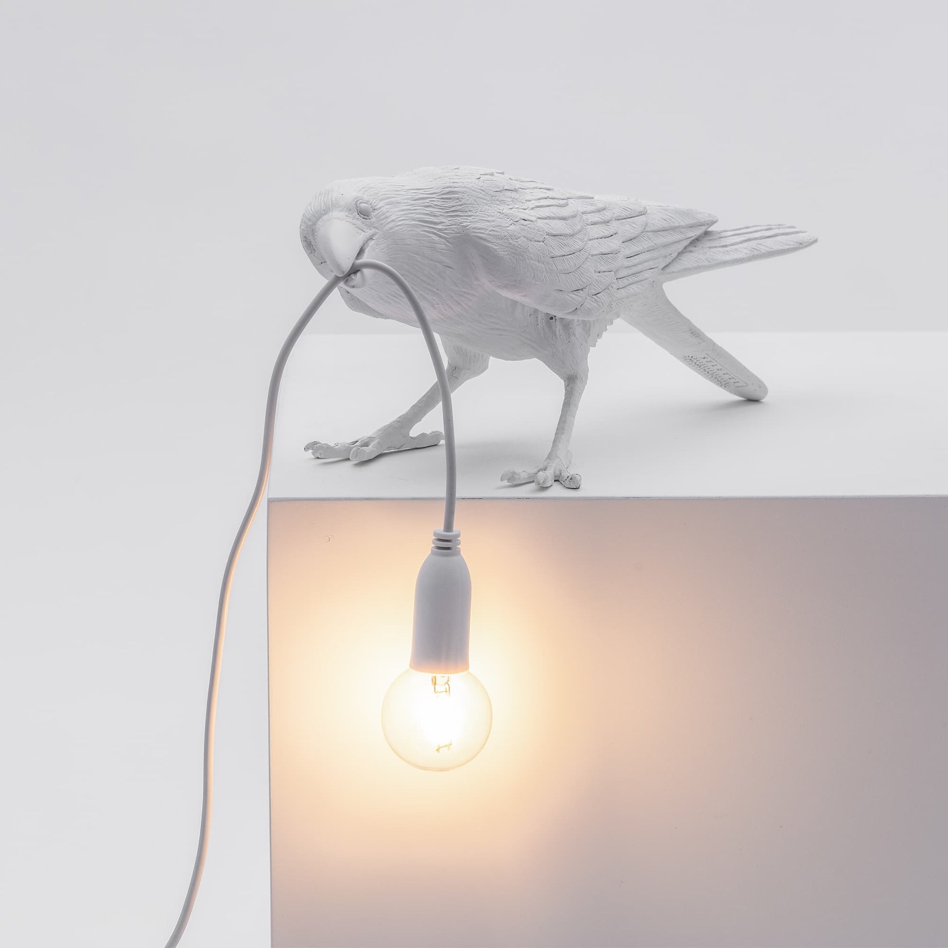 Bird Lamp Playing