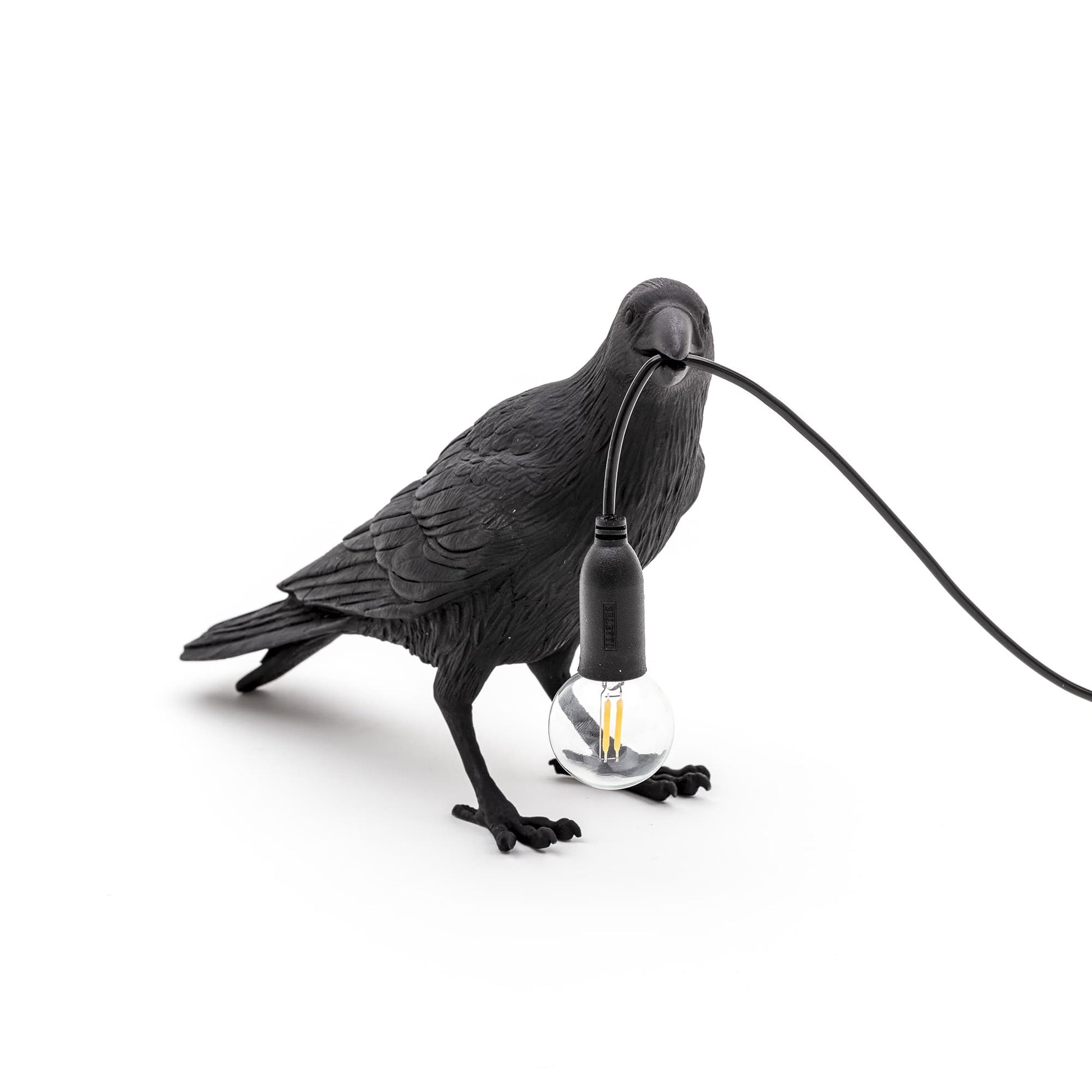 Bird Lamp Waiting
