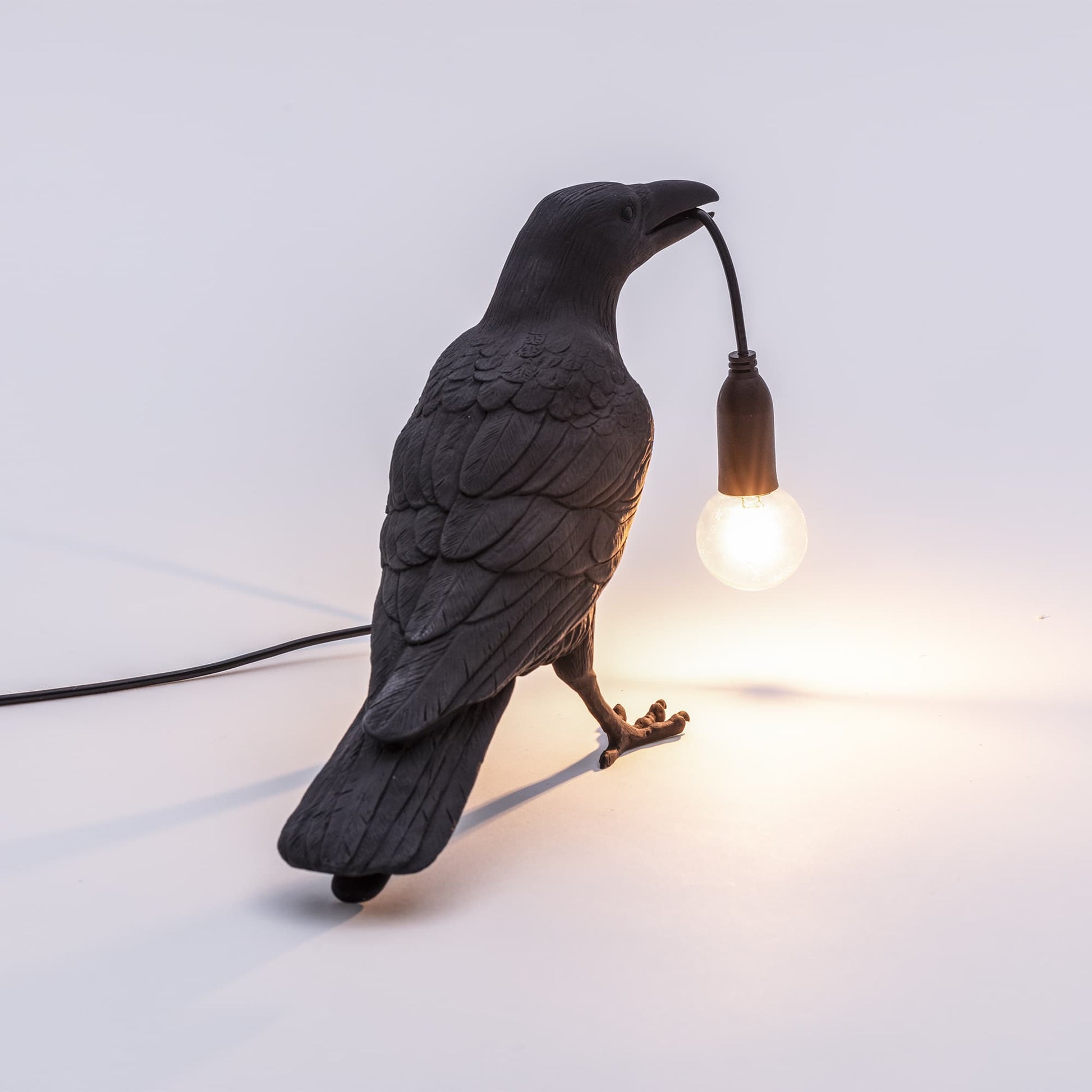 Bird Lamp Waiting