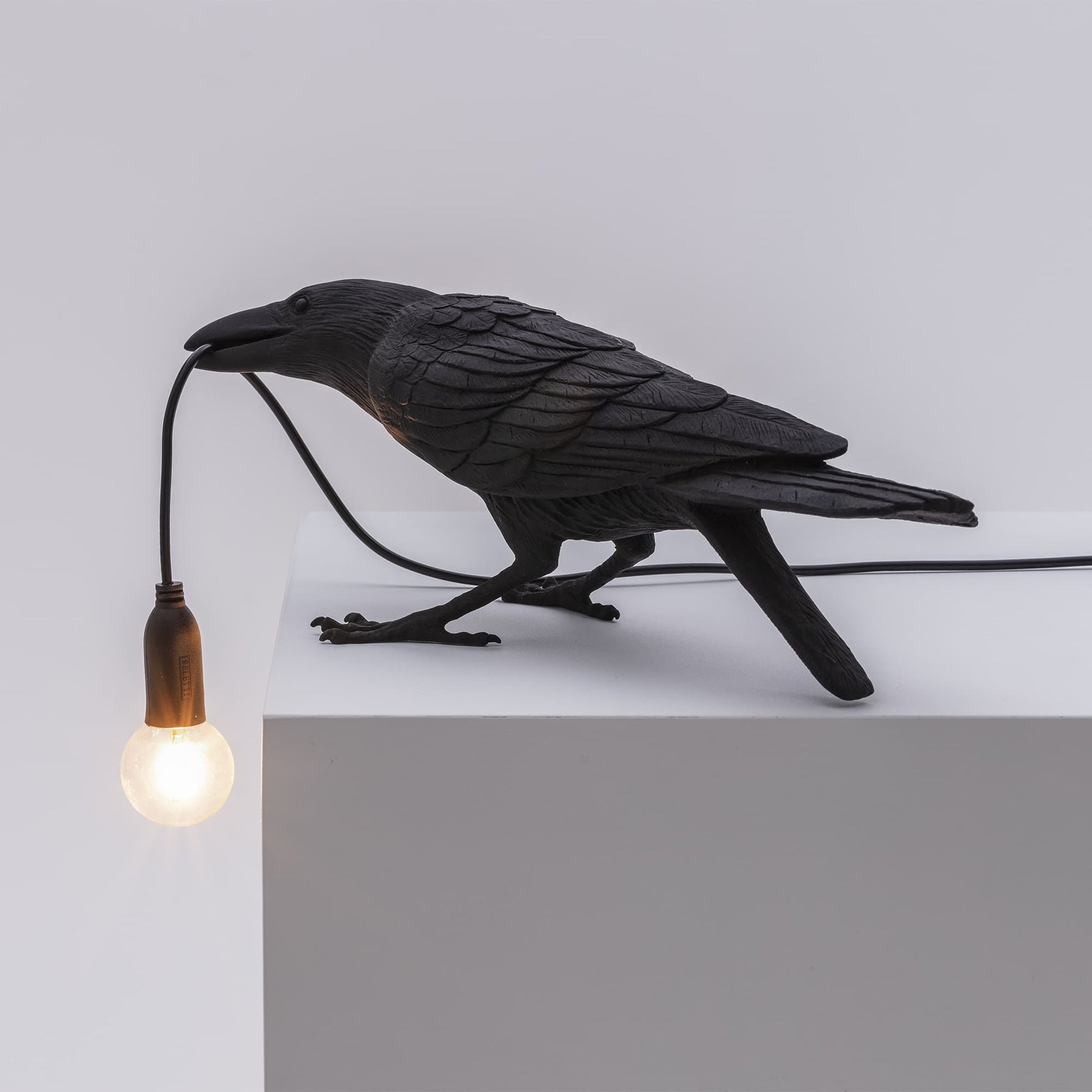 Bird Lamp Playing