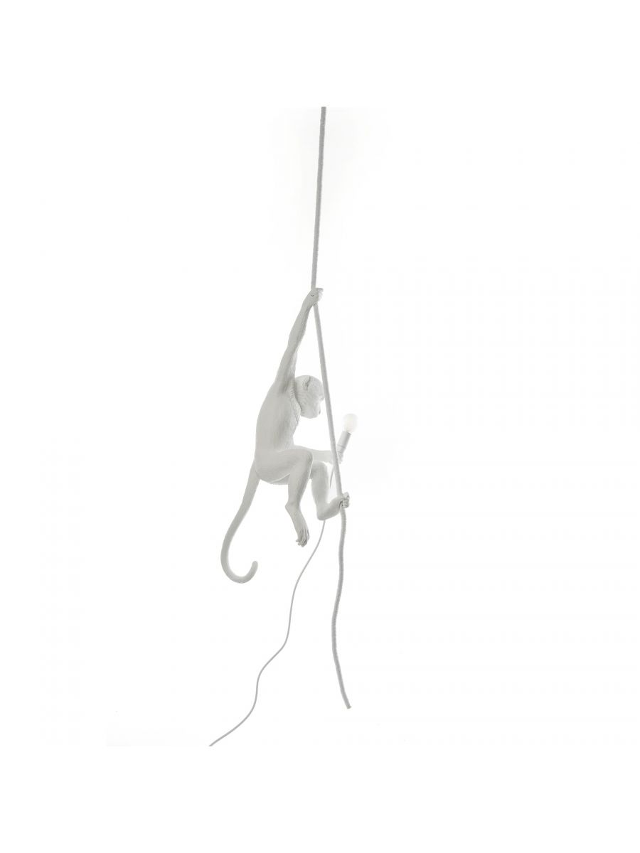 The Monkey Lamp - Suspenso