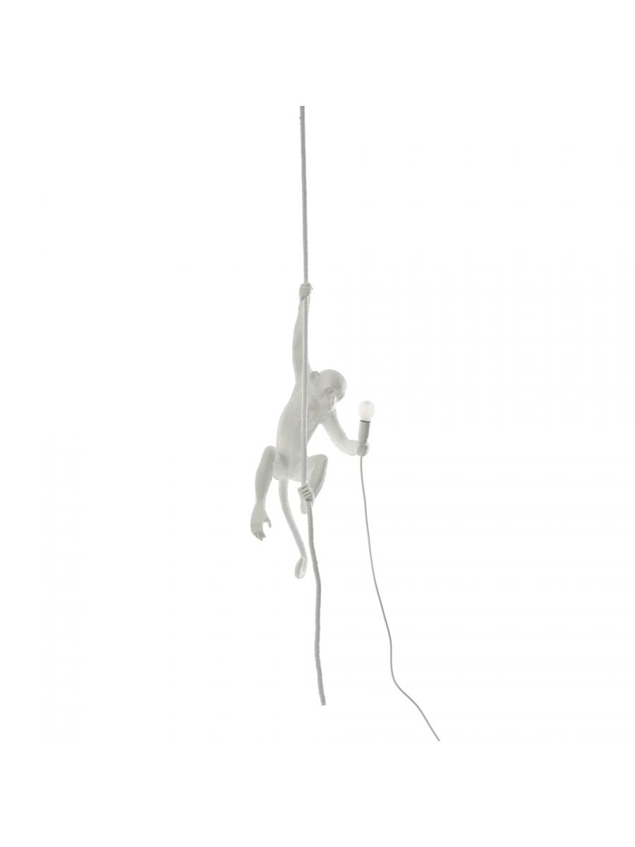 The Monkey Lamp - Suspenso