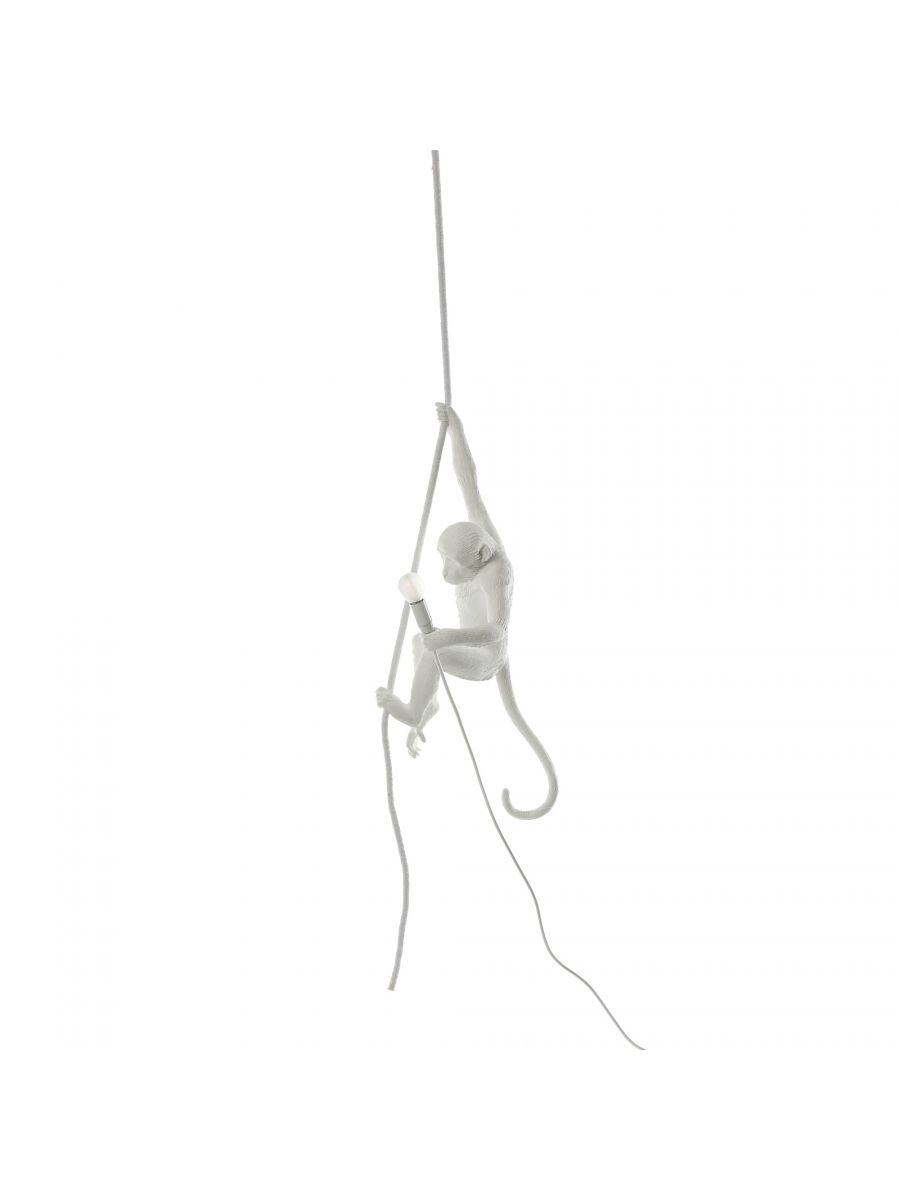 The Monkey Lamp - Suspenso