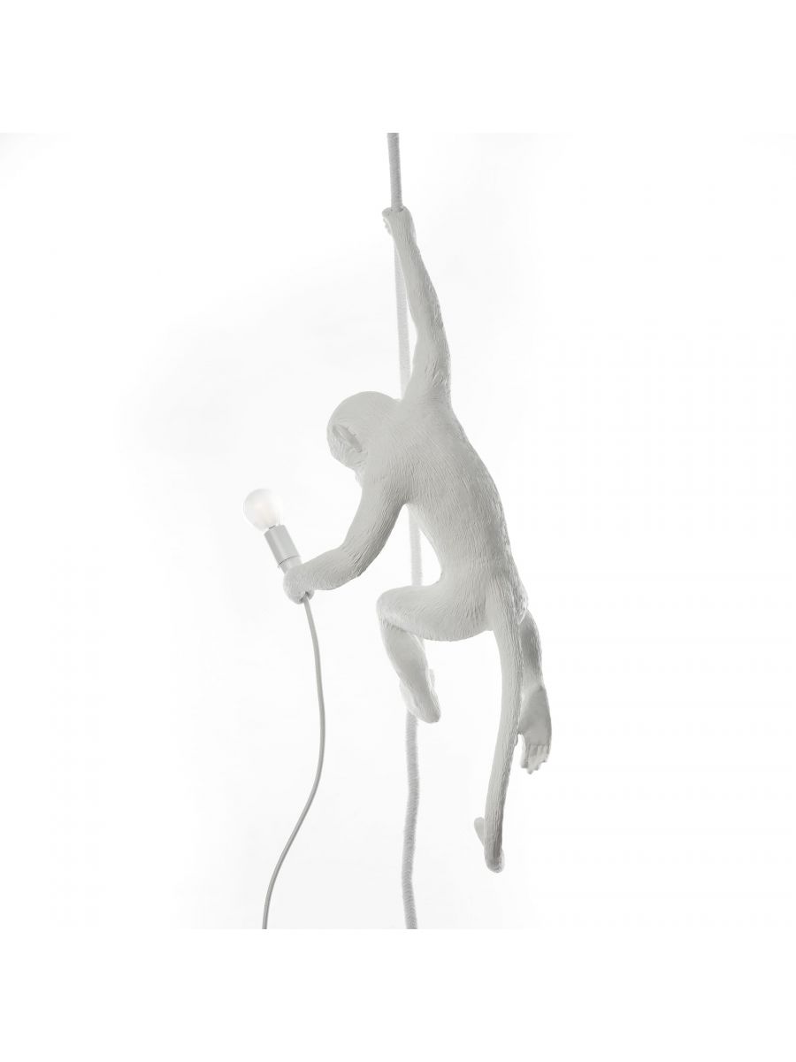 The Monkey Lamp - Suspenso