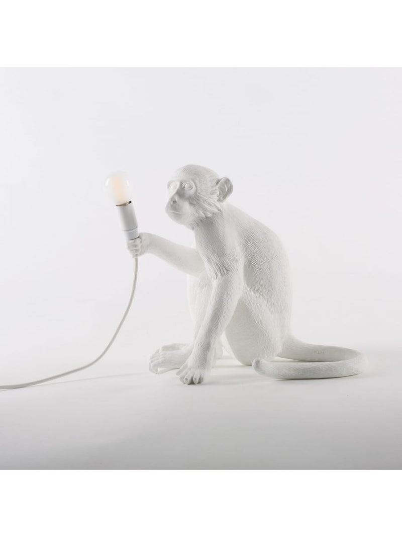 The Monkey Lamp Sitting Version
