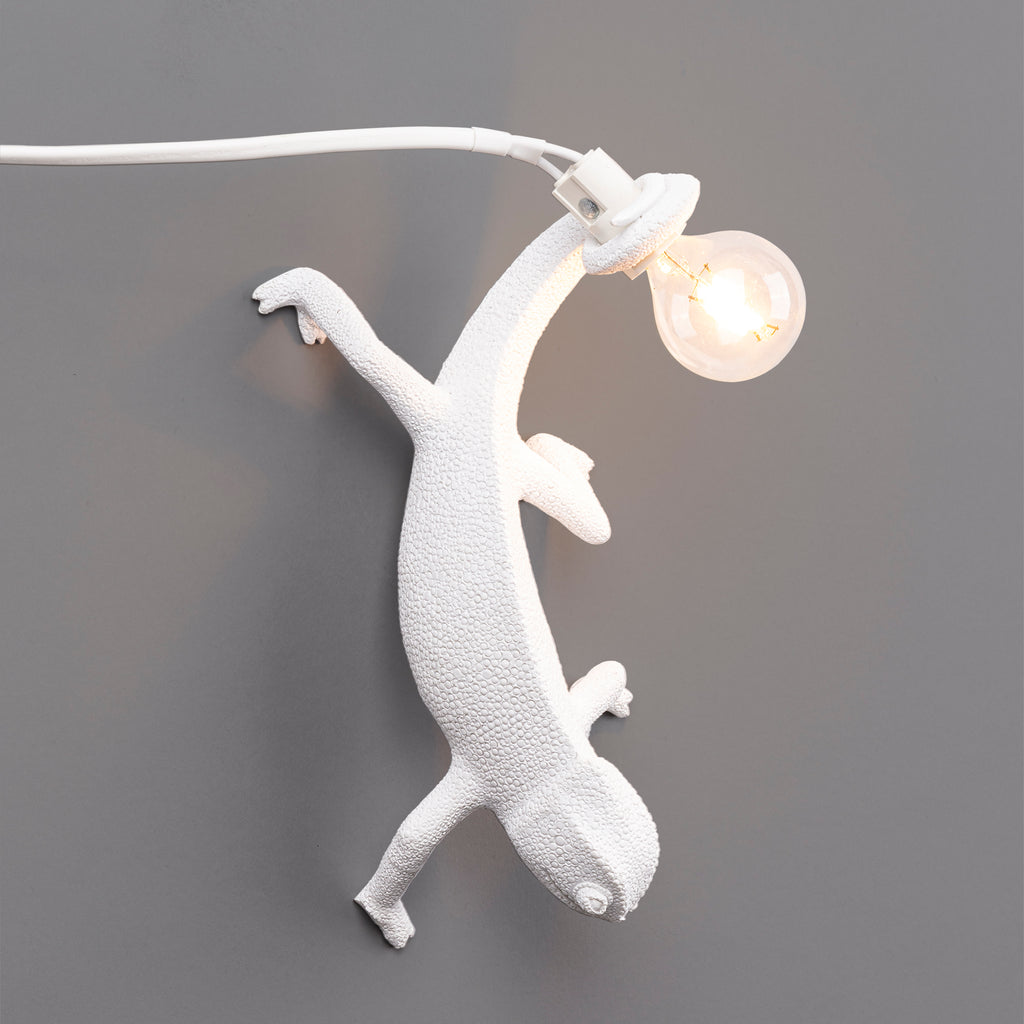 Chameleon Lamp Going Down