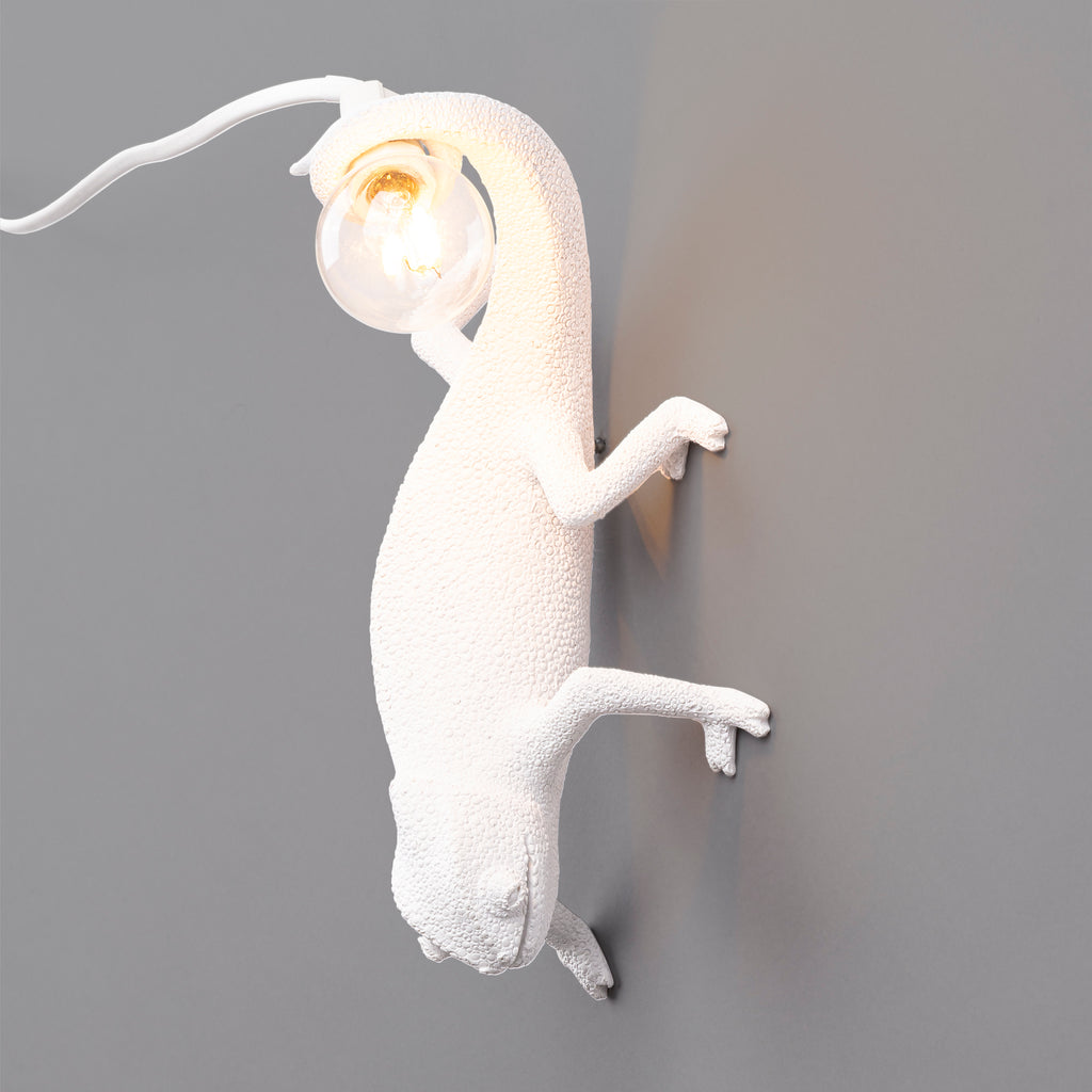Chameleon Lamp Going Down