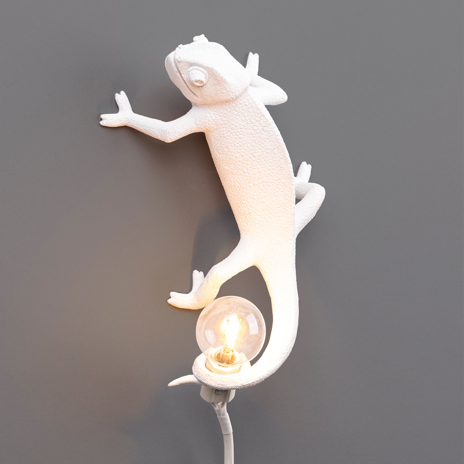 Chameleon Lamp Going Up