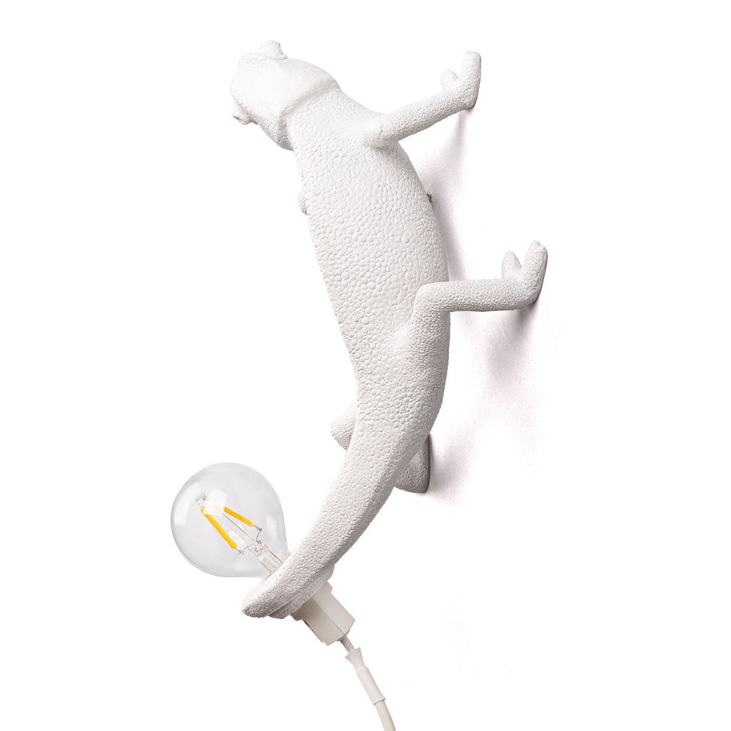 Chameleon Lamp Going Up