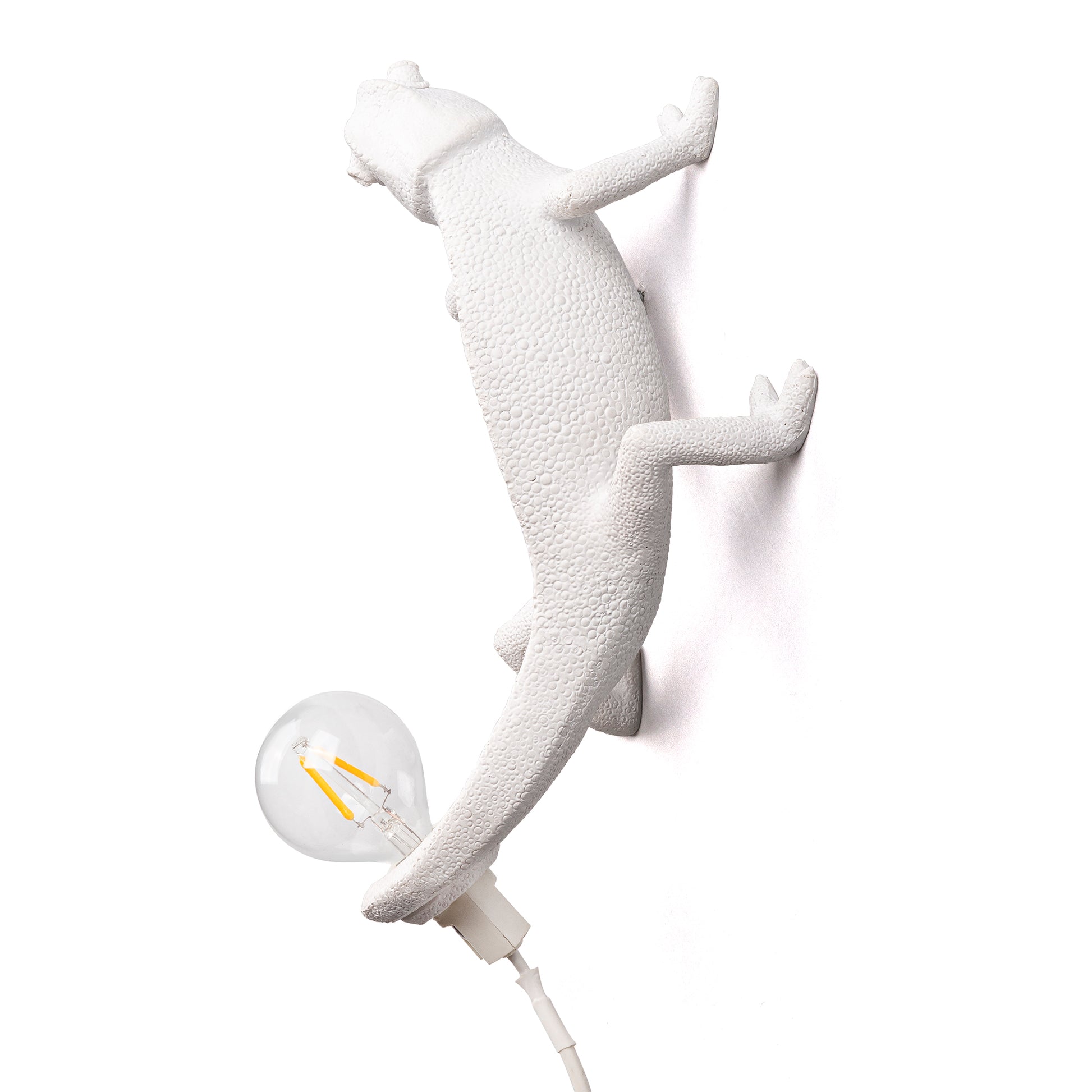 Chameleon Lamp Going Up
