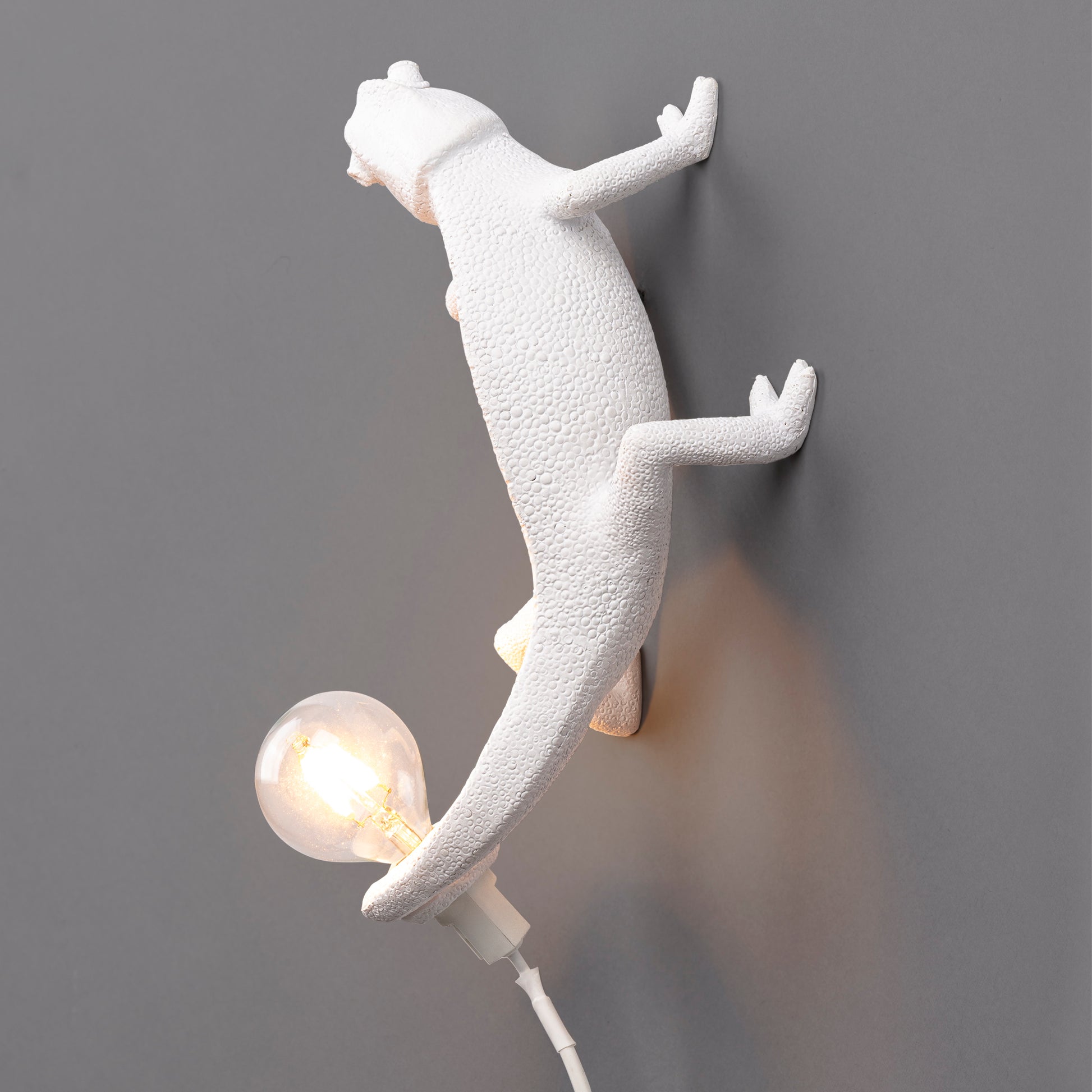 Chameleon Lamp Going Up
