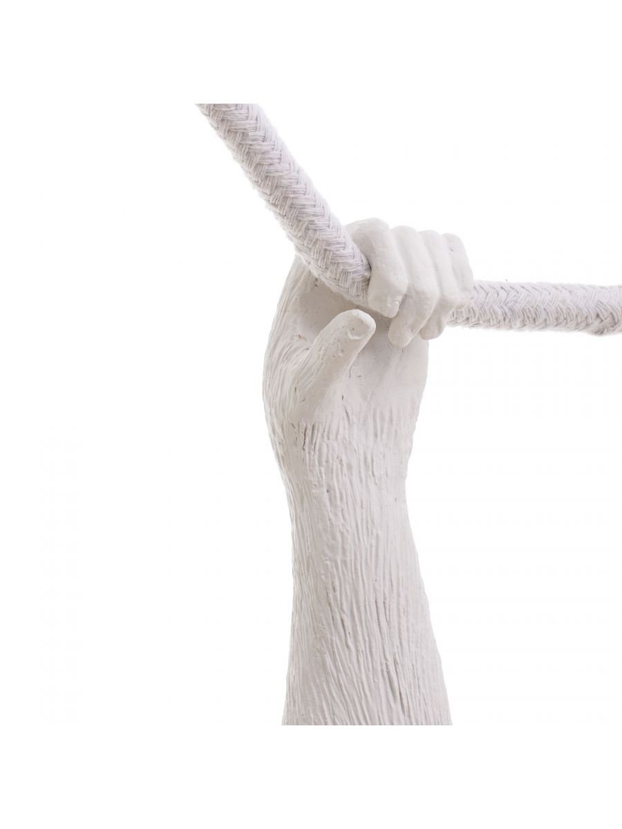 The Monkey Lamp - Suspenso