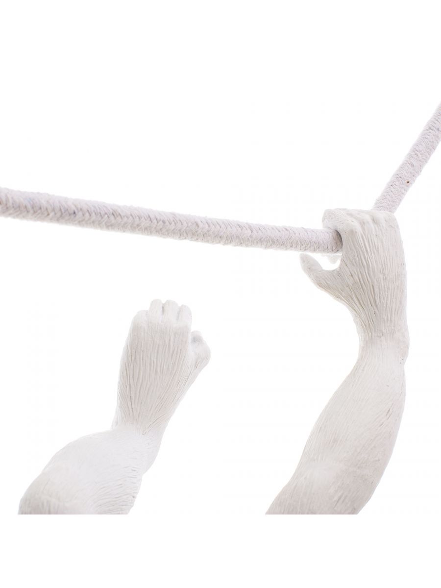 The Monkey Lamp - Suspenso