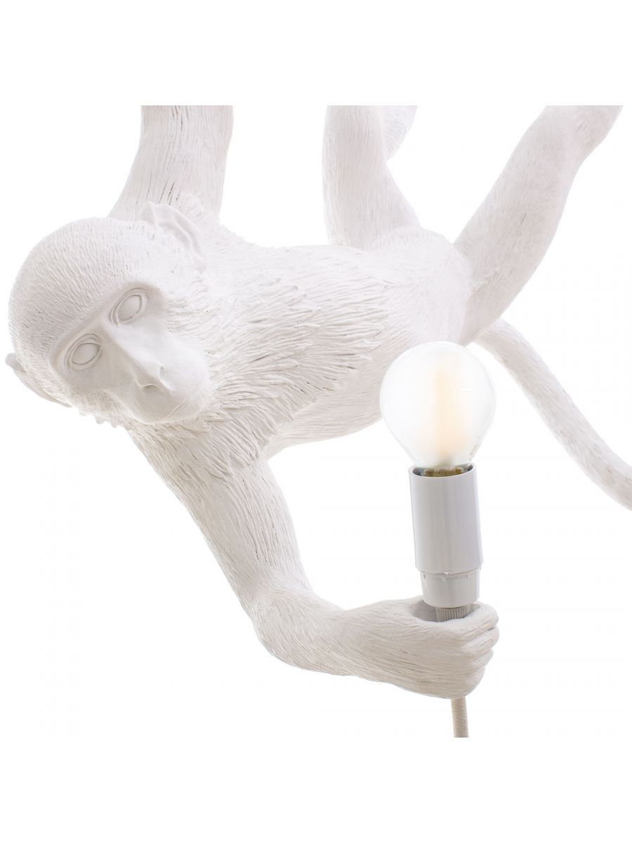 The Monkey Lamp - Suspenso