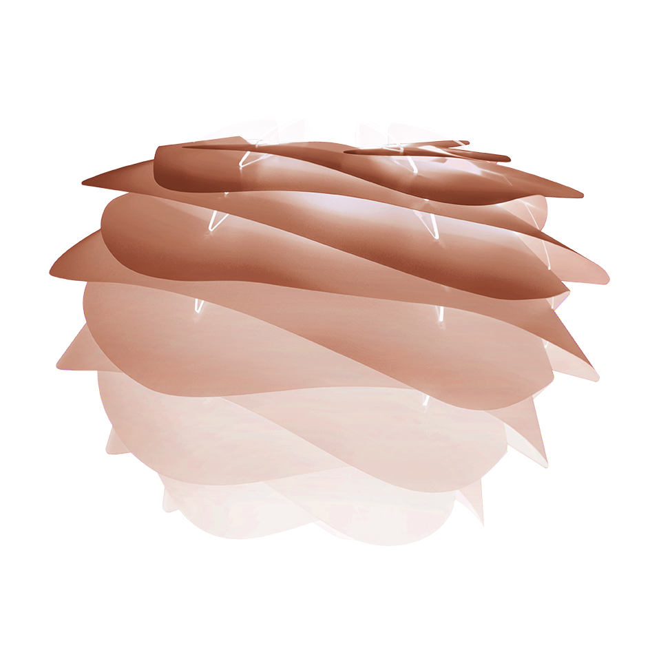 Carmina - Mini & Medium