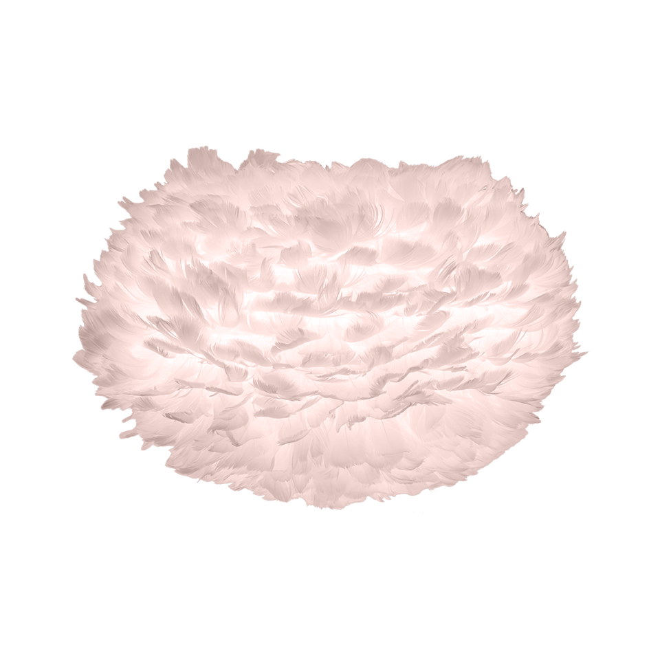EOS - Rosa