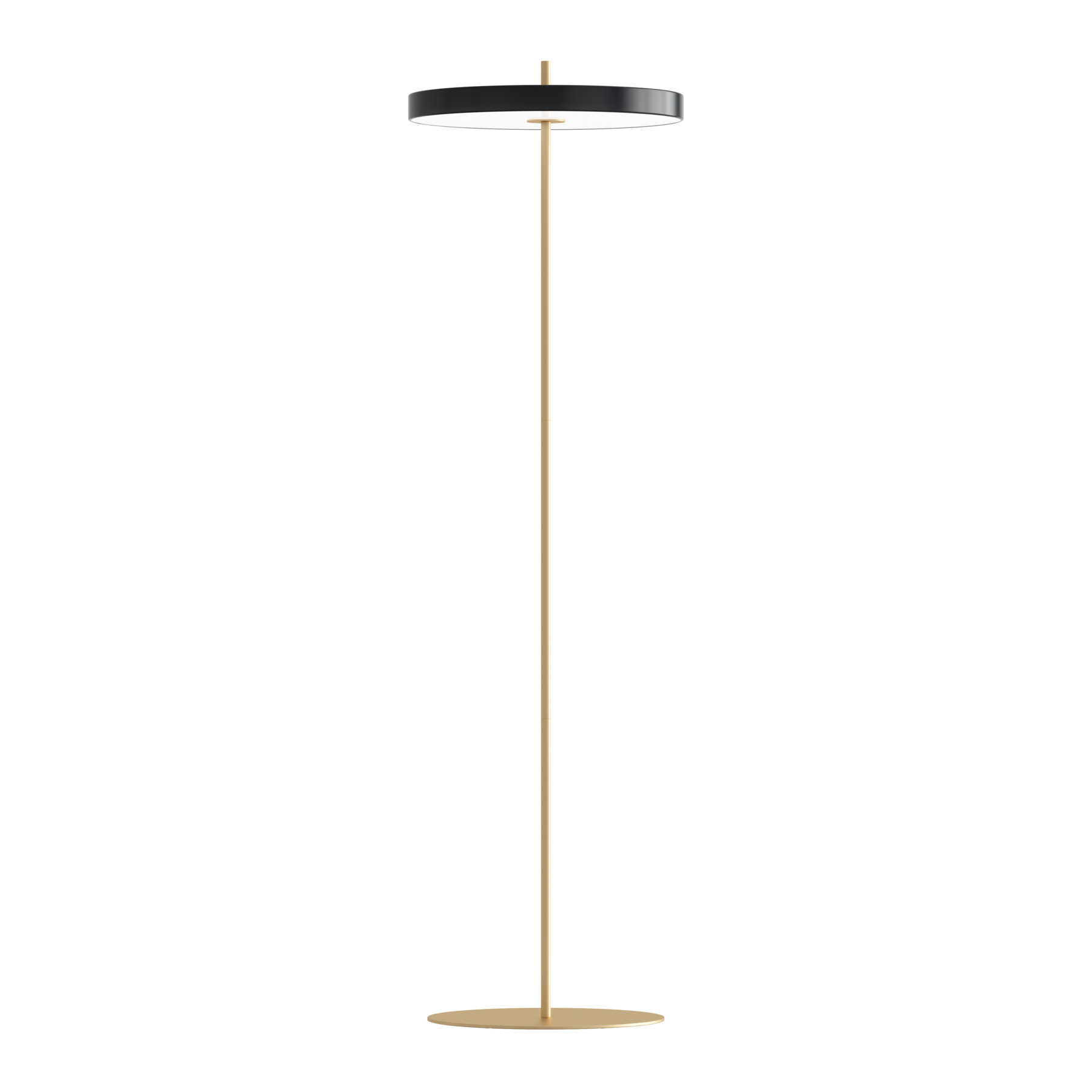 Asteria Floor