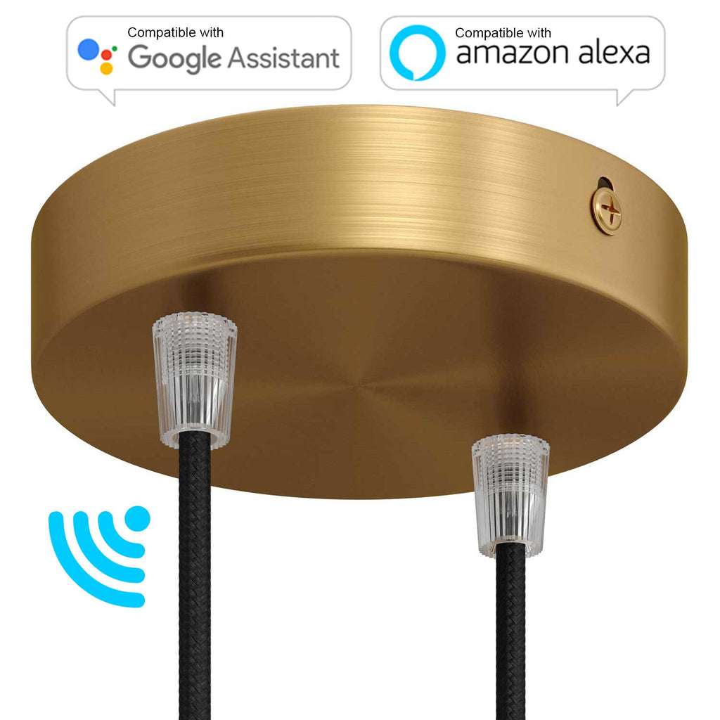 SMART cylindrical metal 2-hole ceiling rose kit - compatible with voice assistants