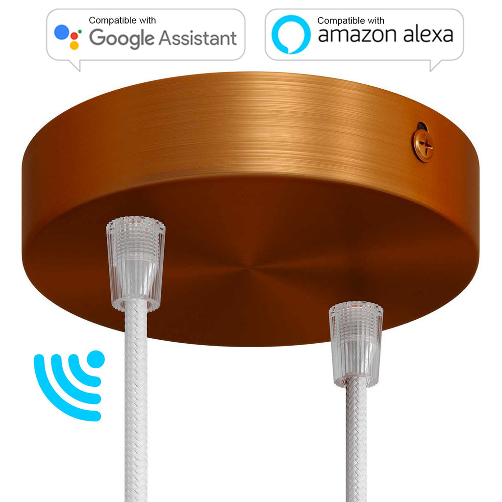 SMART cylindrical metal 2-hole ceiling rose kit - compatible with voice assistants