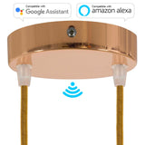 SMART cylindrical metal 2-hole ceiling rose kit - compatible with voice assistants