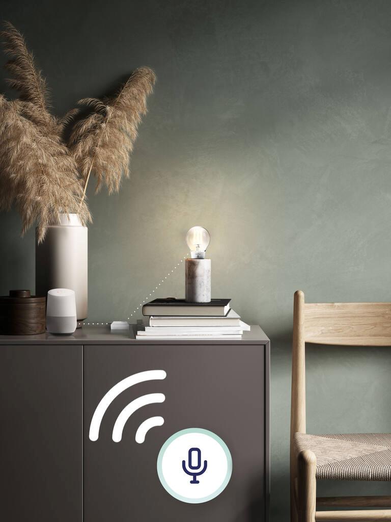 Smart Light Bridge