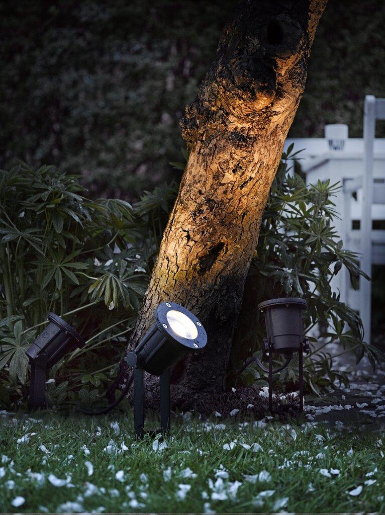 Projetor de Jardim Spotlight
