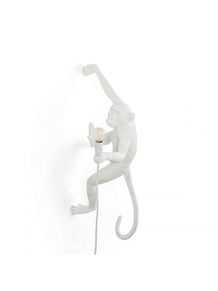 The Monkey Lamp - Direita